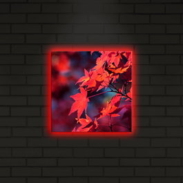 Wallity Lienzo Decorativo Iluminado con LED Multicolor 28x28 cm
